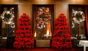 Red holiday poinsettia with lighted wreaths